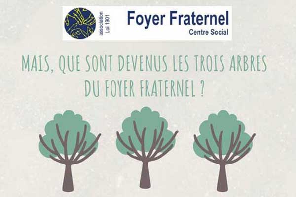 image d'illustration représentant 3 arbres avec le logo du Foyer et le titre de l'article